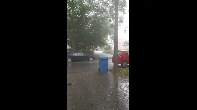 VID_20230713_090046.mp4