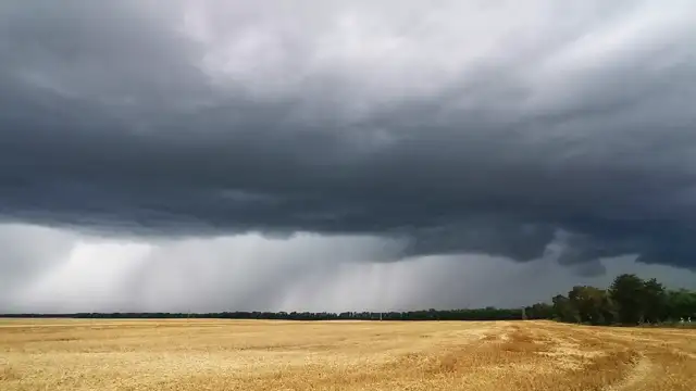 VID_20230713_165349.mp4