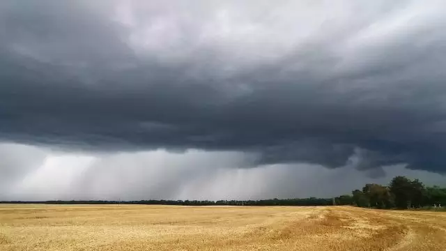 VID_20230713_165349.mp4