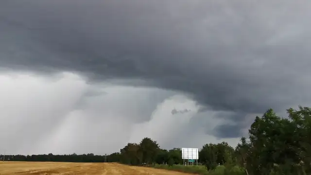 VID_20230713_165543.mp4