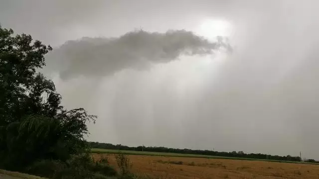 VID_20230713_170008.mp4