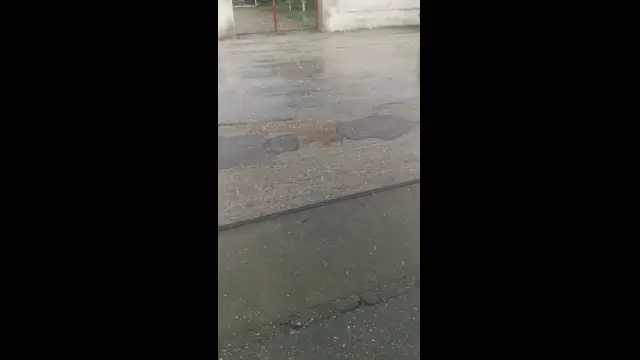 VID_20230713_183332.mp4