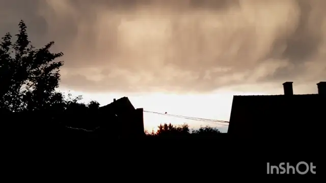 InShot_20230713_202854979.mp4