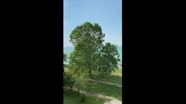 BF743A17-6347-42B3-85E1-57D831F5CAEE.mp4