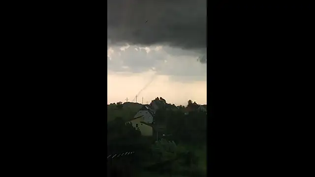 Gustnadot videózott észlelőnk