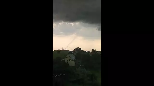 Gustnadot videózott észlelőnk