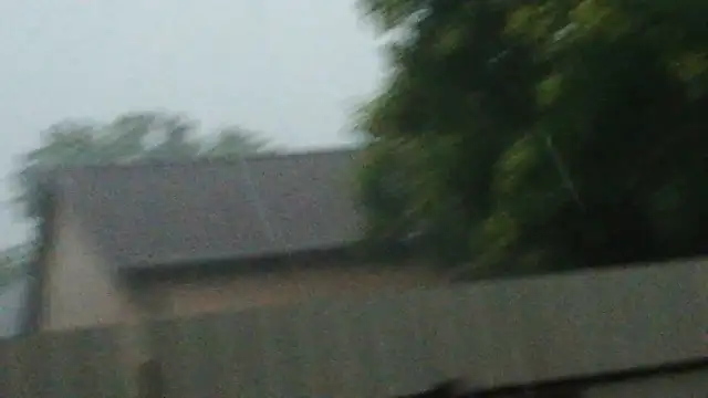 VID_20230717_190648.mp4