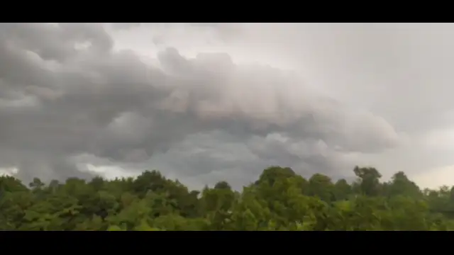 VID20230717171227(0).mp4