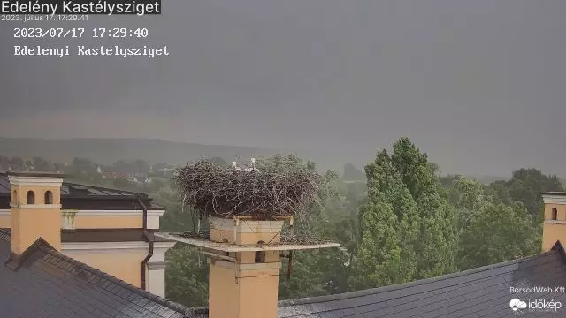 Fedezékbe vonultak a gólyák, amikor jött a vihar