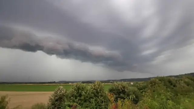 VID_20230718_194130.mp4