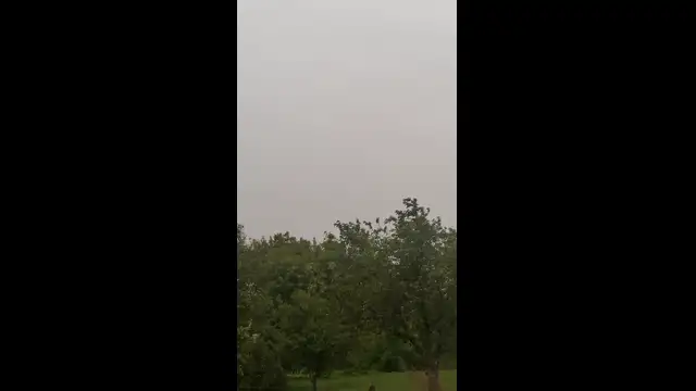 VID_20230719_174212.mp4