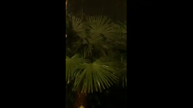 4AB17005-A581-45B3-8C4A-7714076F695C.mp4