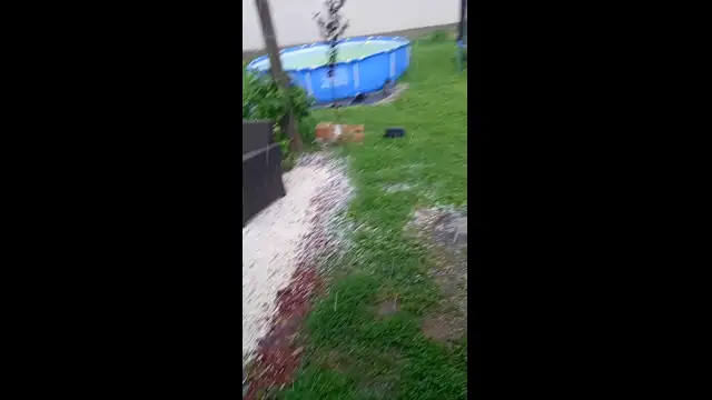 VID_20230720_151526.mp4