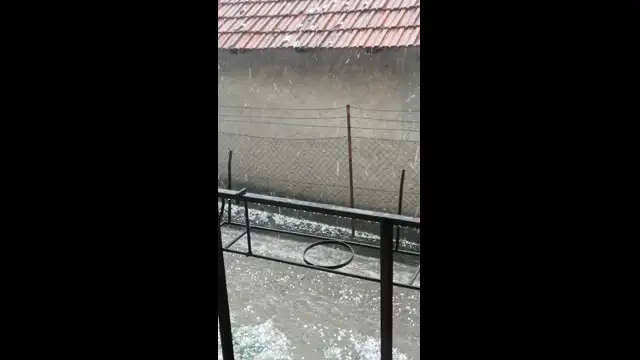 VID_20230720_151025.mp4