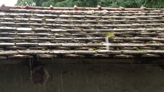 8242E576-0E5C-491C-95BE-E7F481FA4109.mp4