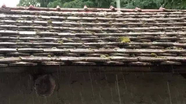 8242E576-0E5C-491C-95BE-E7F481FA4109.mp4