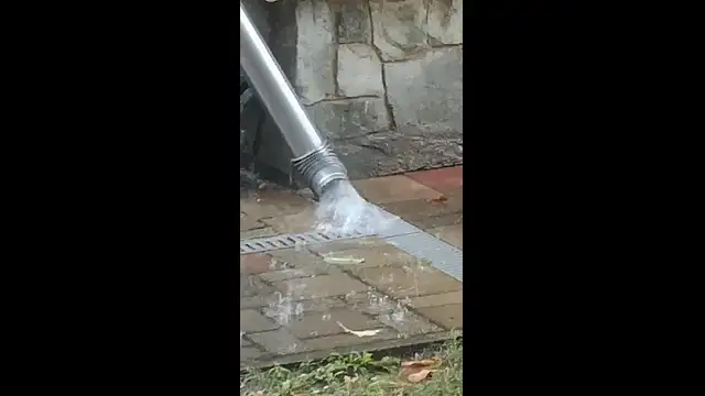 VID_20230725_102845.mp4