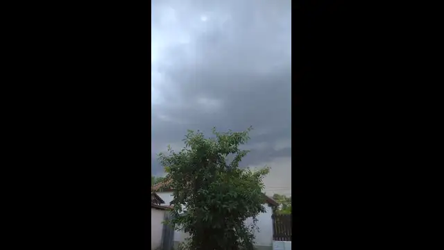 VID_20230728_191504.mp4