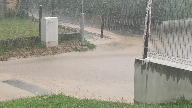 VID_20230729_181242.mp4