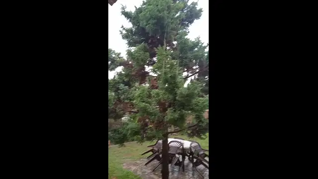 VID_20230730_125749.mp4