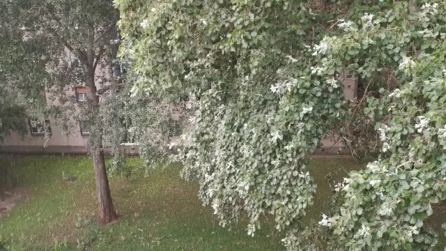 VID_20230730_152408.mp4