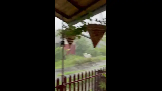 E38B801F-15F7-4F40-AE6C-1280A6A4AEAC.mp4