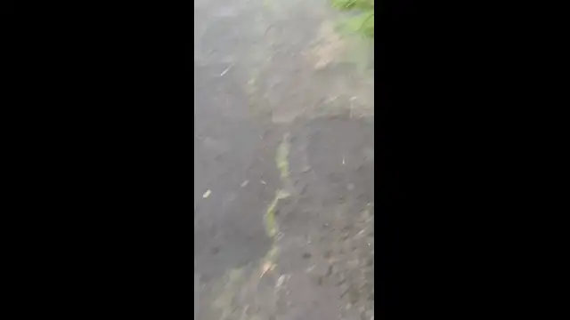 C4289586-7707-4F8D-BB7F-8D62A6D98CA1.mp4