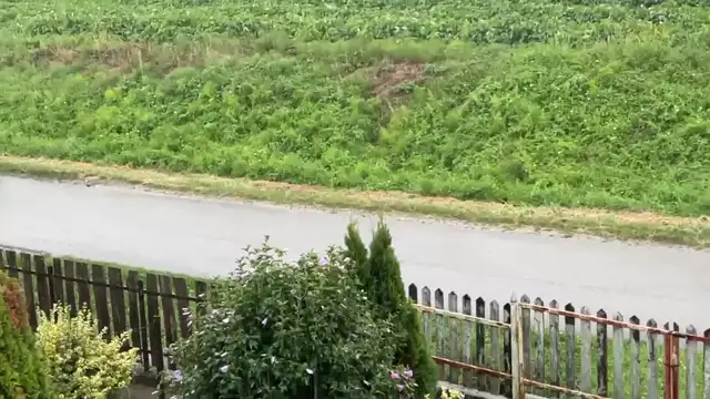 E4DA7414-F494-40CA-A931-A4C08F2A3E73.mp4