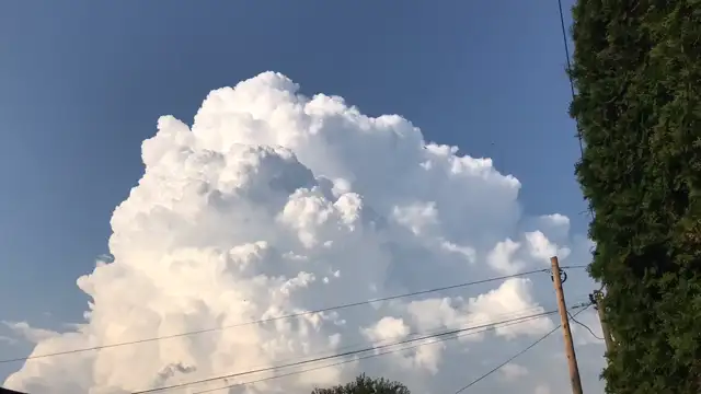 C503B903-8428-4930-83D7-6F5F433DEE8E.mp4