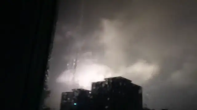 petal_20230805_022918.mp4