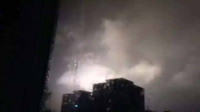 petal_20230805_022918.mp4