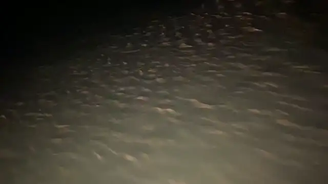 7C04AFD9-2D68-41C2-9024-45B7B8607C32.mp4