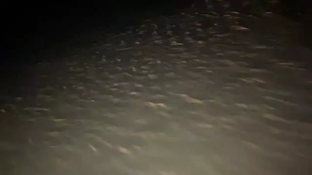 7C04AFD9-2D68-41C2-9024-45B7B8607C32.mp4