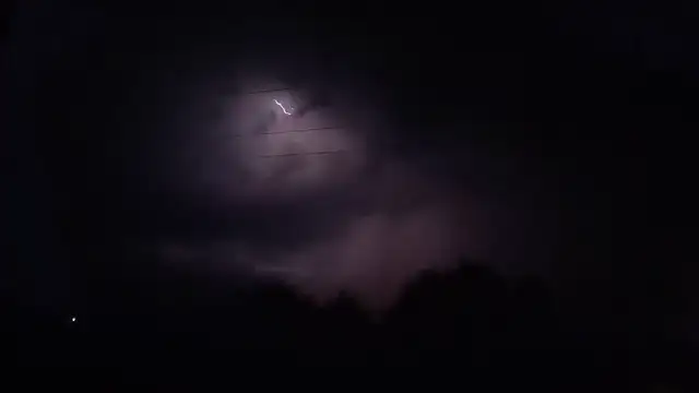 VID20230805053702.mp4