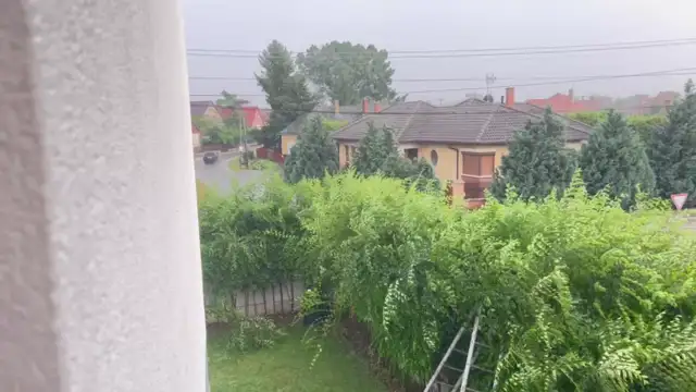 262A8B63-6BB6-411C-9845-F5EFE9CB9748.mp4