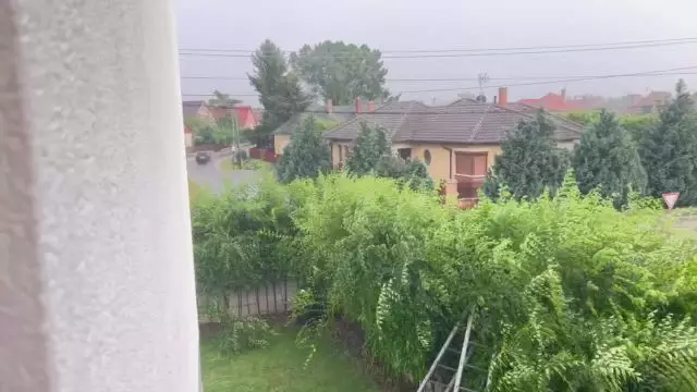 262A8B63-6BB6-411C-9845-F5EFE9CB9748.mp4