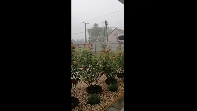 VID_20230805_175625.mp4