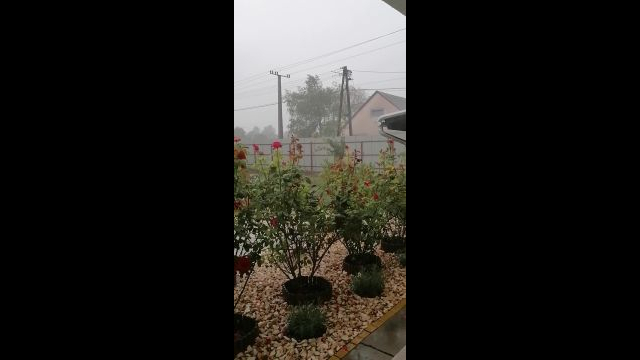 VID_20230805_175625.mp4