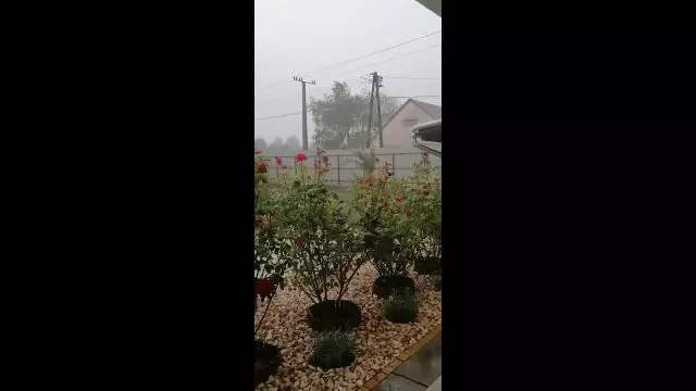 VID_20230805_175625.mp4