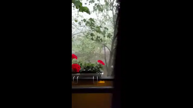 HÓDMEZŐVÁSÁRHELYEN TEGNAP