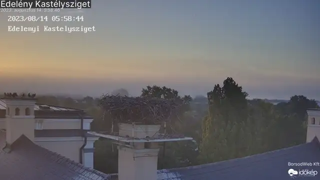 Lágy ködhullám az edelényi gólyák alatt