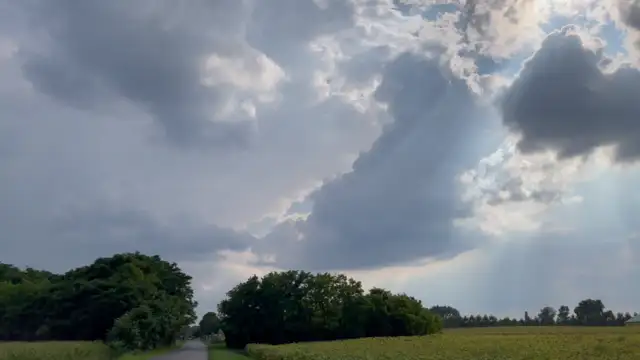 7271E676-0F43-4E49-9CC8-F40BD8D2889A.mp4