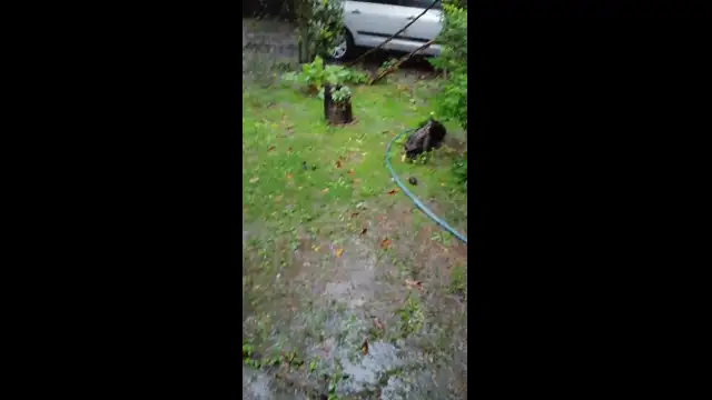 VID_20230819_075056.mp4