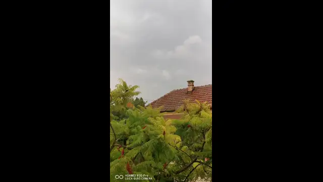 VID_20230819_080211.mp4