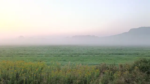 Napkelte & párapaplan