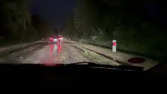 Fákat tépázott a vihar