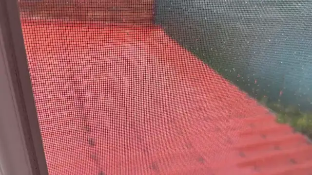 B594828D-1A0F-4F1E-9317-FABC8EEBE3CD.mp4