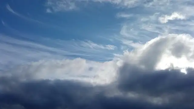 VID20230830171023.mp4