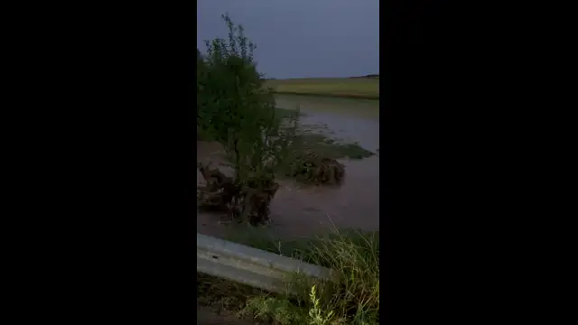 4C2FB65C-FDD3-49CE-981C-48F5ECEE58D4.mp4