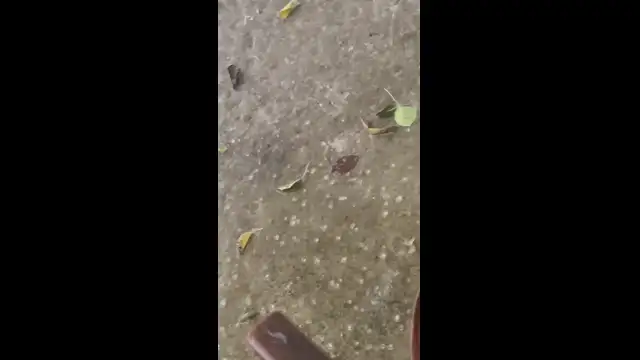 D154986F-E439-4B67-95CF-61D3FC2EB97A.mp4